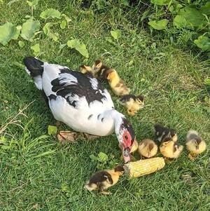 Meet your Posher, Christine